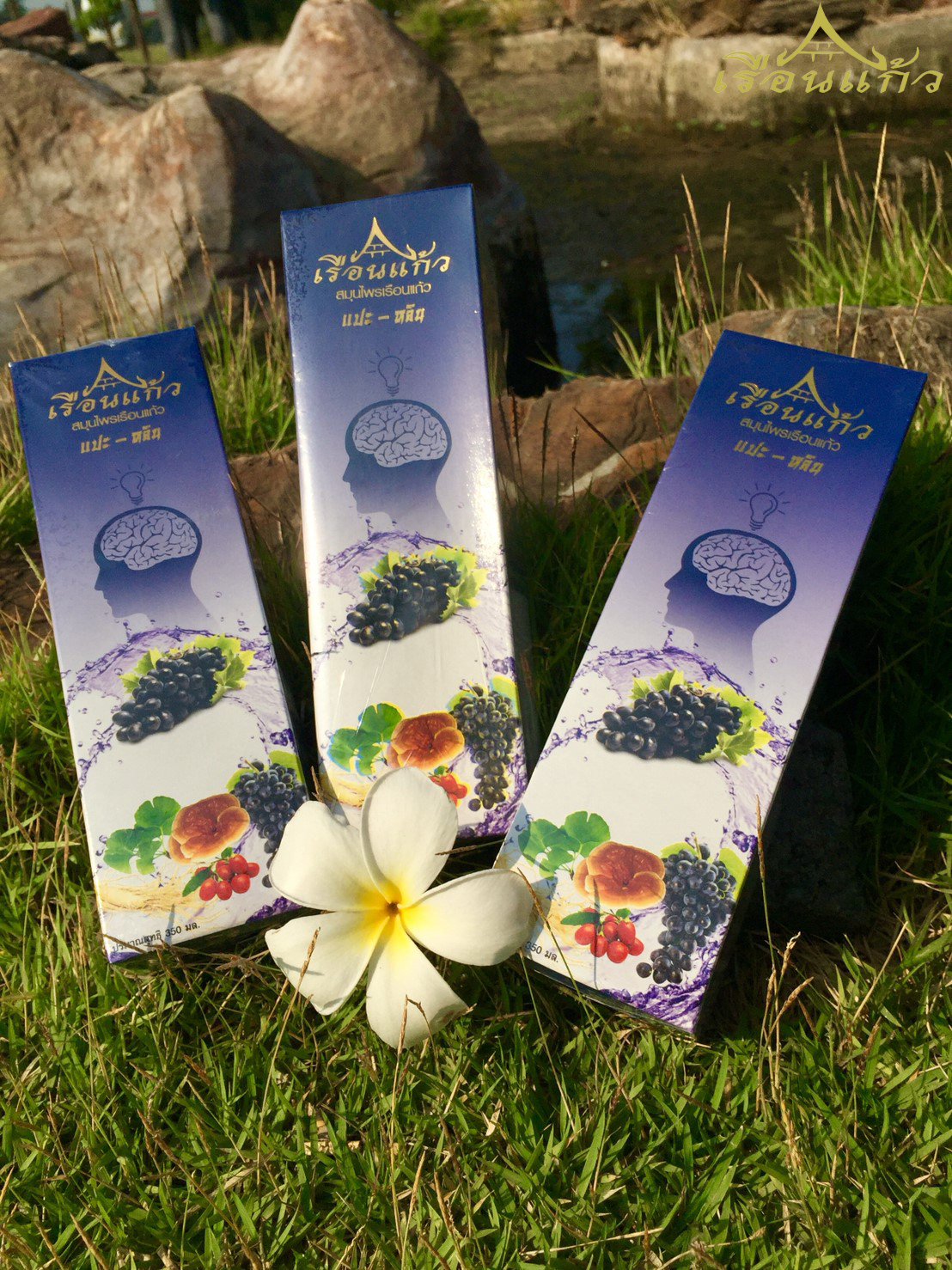 แปะหลิน