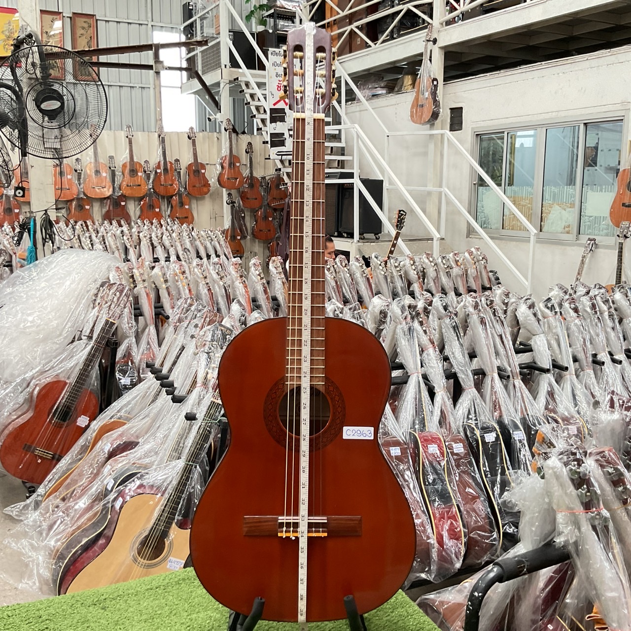 กีต้าร์คลาสสิค Abe Gut : 65F