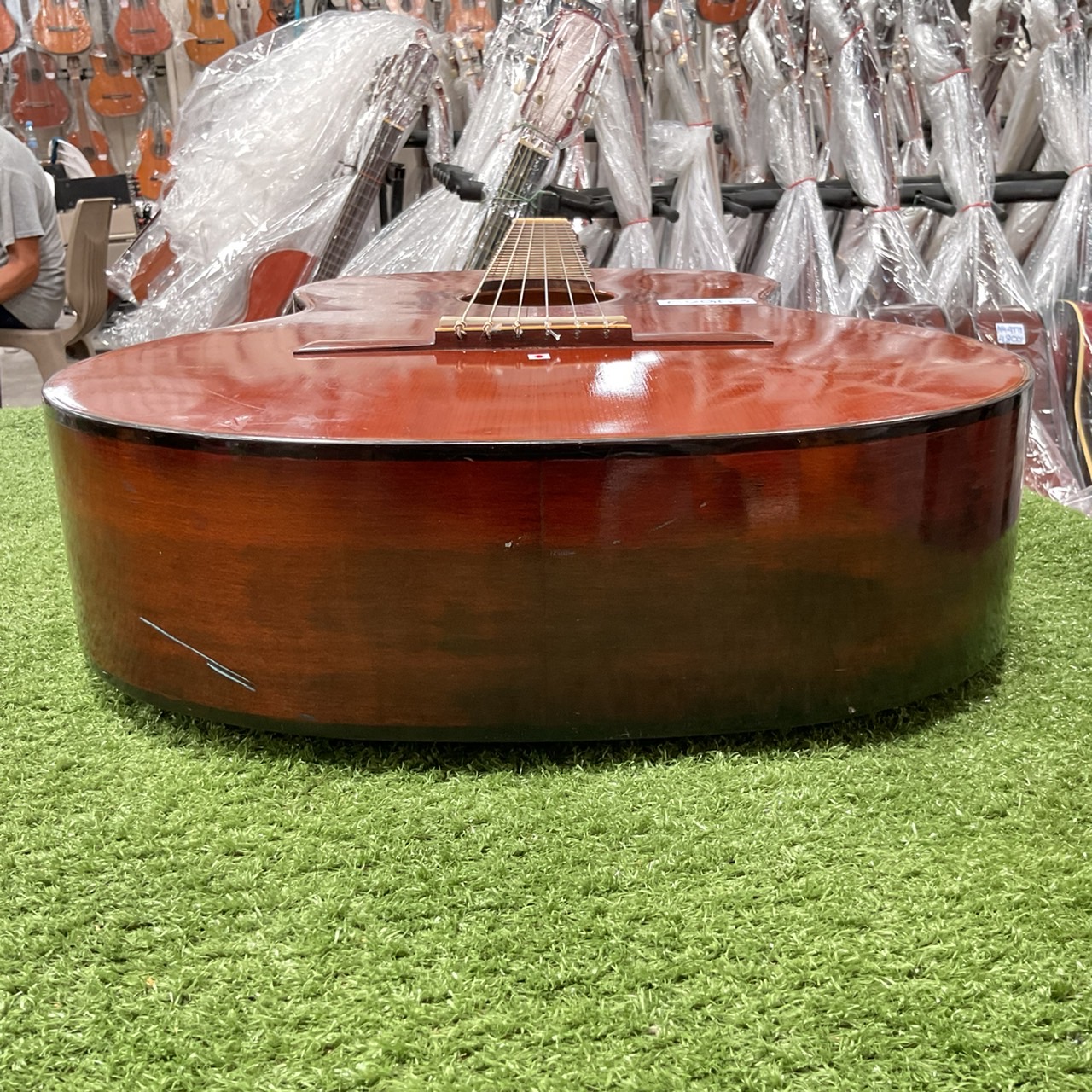 กีต้าร์คลาสสิค Abe Gut : 65F