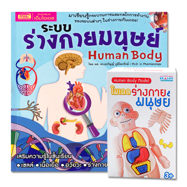 Se-ed (ซีเอ็ด) หนังสือ ระบบร่างกายมนุษย์ ระดับประถมพร้อมโมเดลร่างกาย