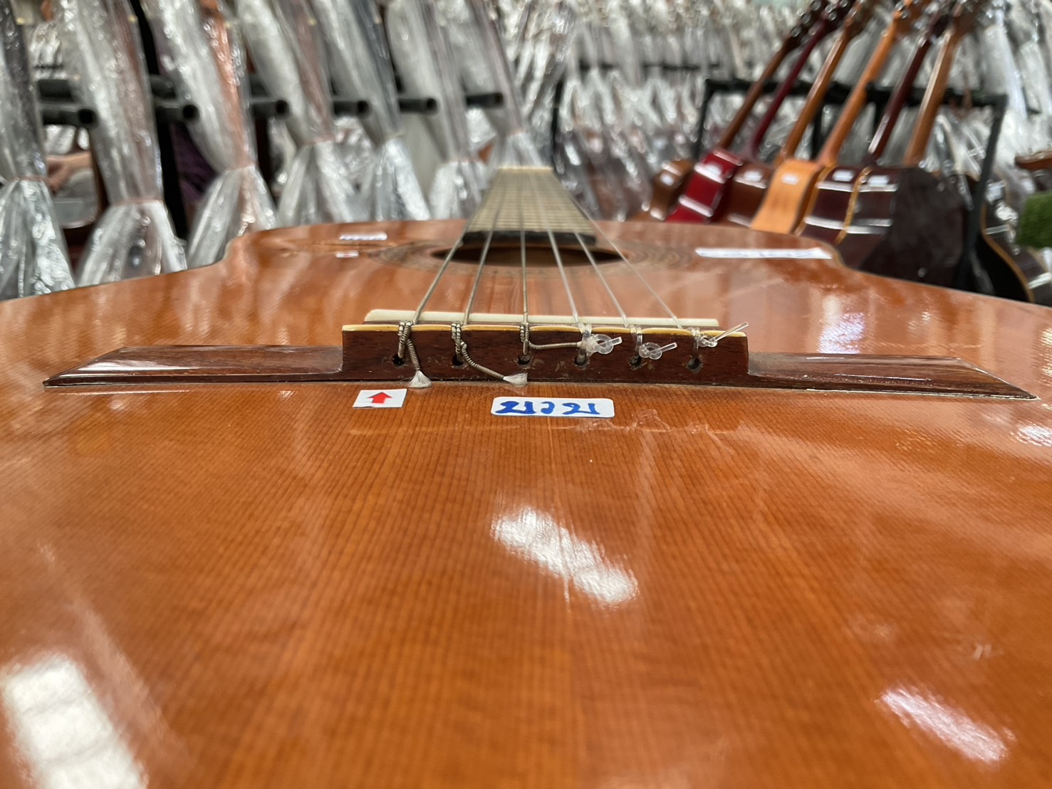 กีต้าร์คลาสสิค Shinano : LG100