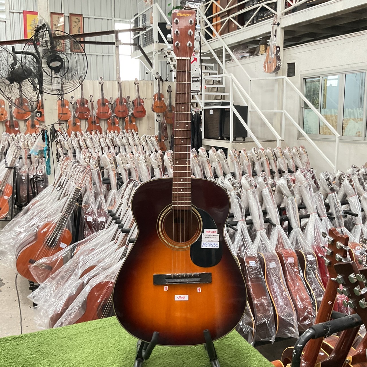 กีต้าร์โปร่ง MORRIS : MF-306TS สินค้าไม่พร้อมใช้งาน (ต้องซ่อม)