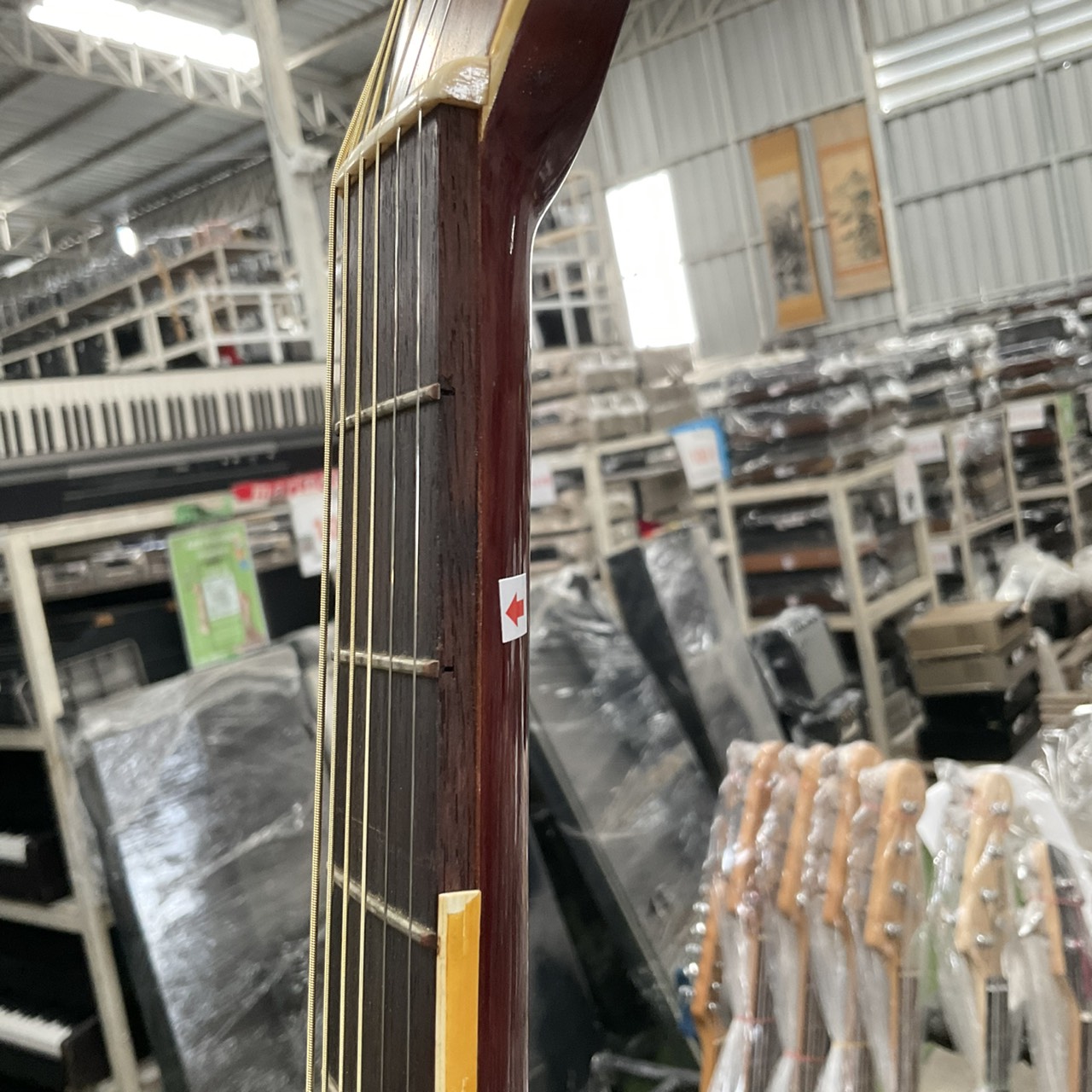 กีต้าร์โปร่ง Morris : W-23