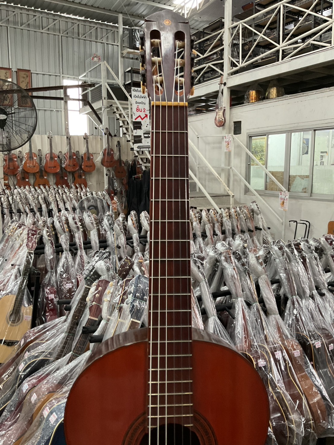 กีต้าร์คลาสสิค YAMAHA : G-70D