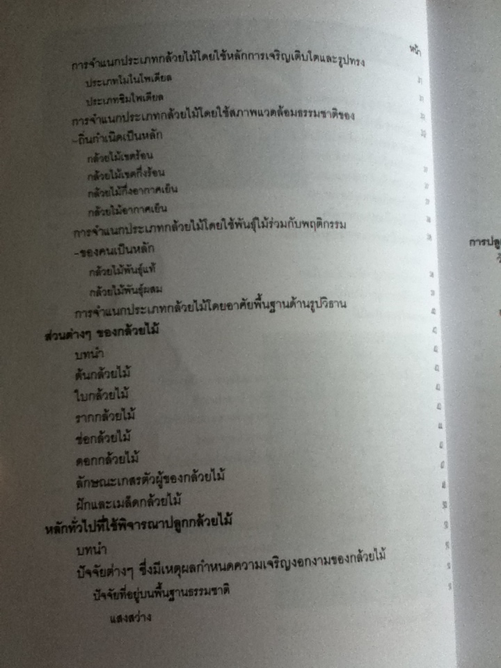 กล้วยไม้สำหรับผู้เริ่มต้น