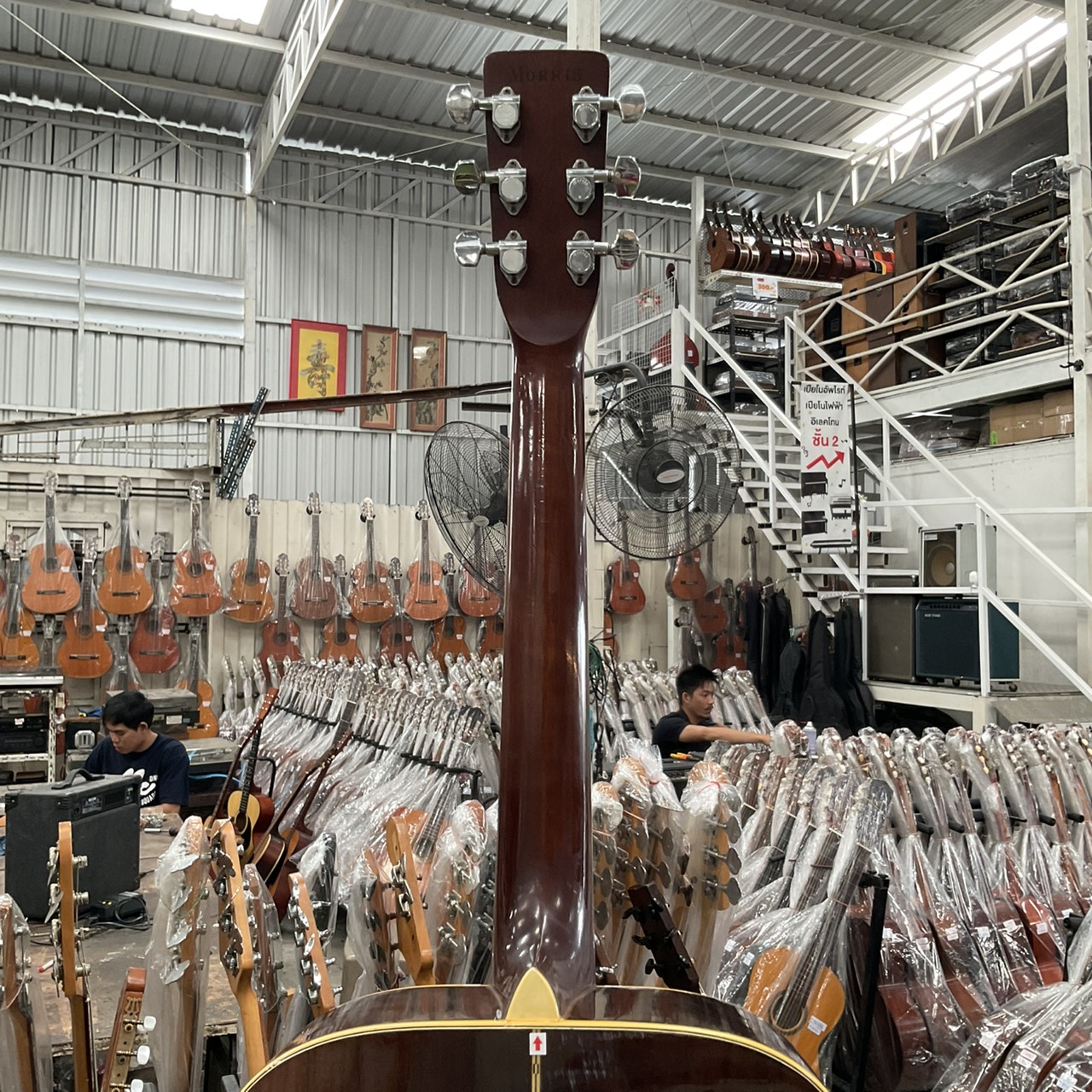 กีต้าร์โปร่ง Morris : W-30