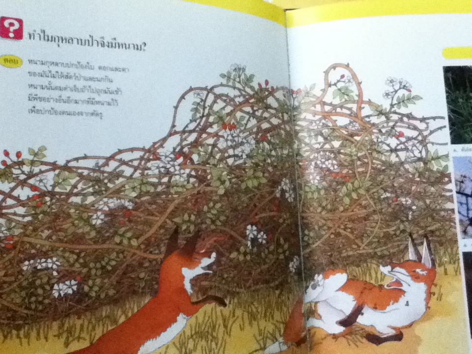 หนังสือชุดความรู้เบื้องต้นสำหรับเด็ก TIME LIFE BOOKS 14 เล่ม