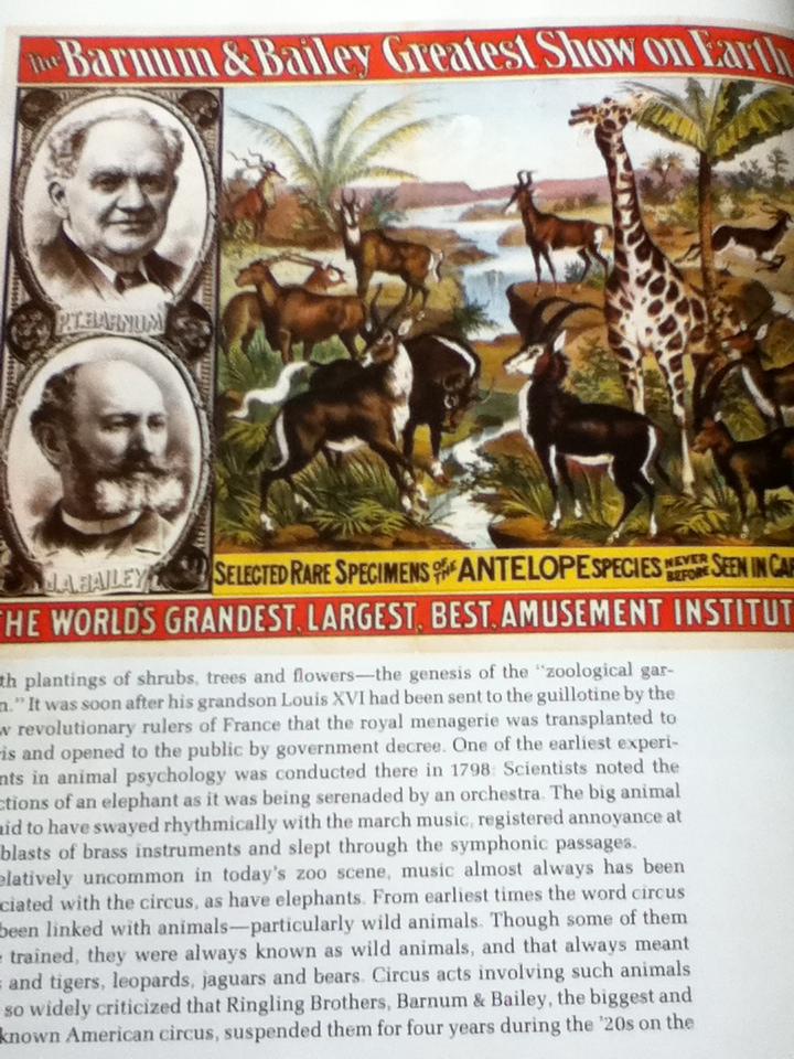 Life in Zoos & Preserves หนังสือชุดWild,Wild World of Animals