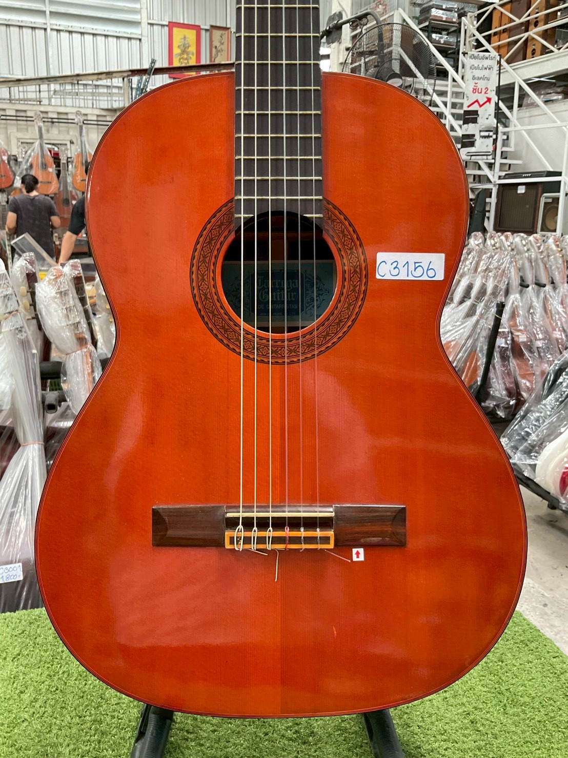 กีต้าร์คลาสสิค Tarrega : TG-25