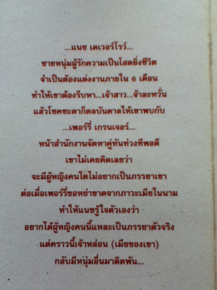 เมียชายโสด