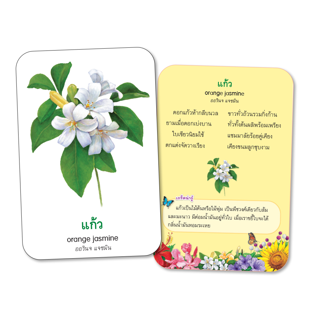 Book World Flash Card สื่อการเรียนรู้ บัตรภาพดอกไม้ 2 ภาษา (ไทย-อังกฤษ) พร้อมคำกลอน NEW 4 สีสวยงาม