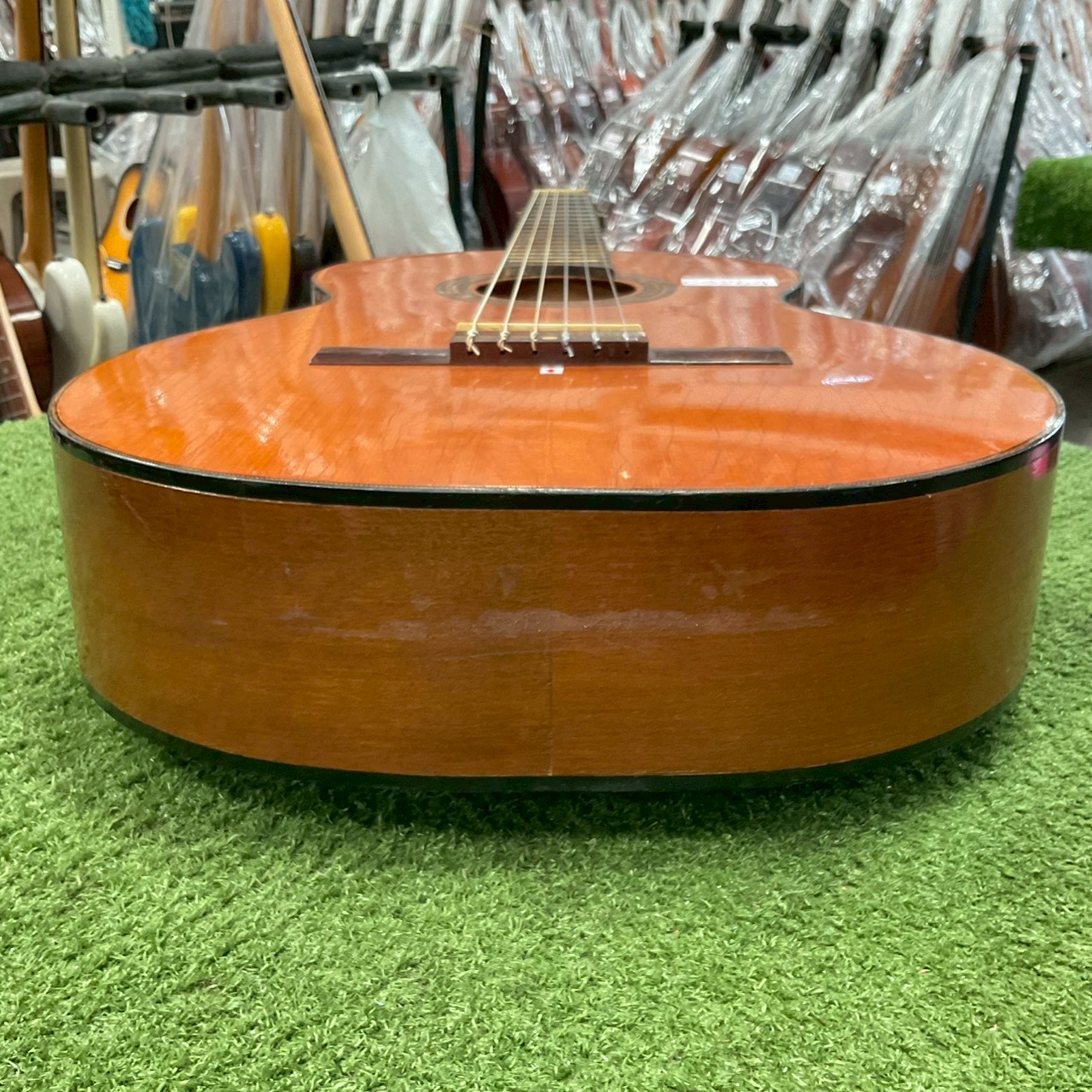 กีต้าร์คลาสสิค Shinko Pleasant : No.70