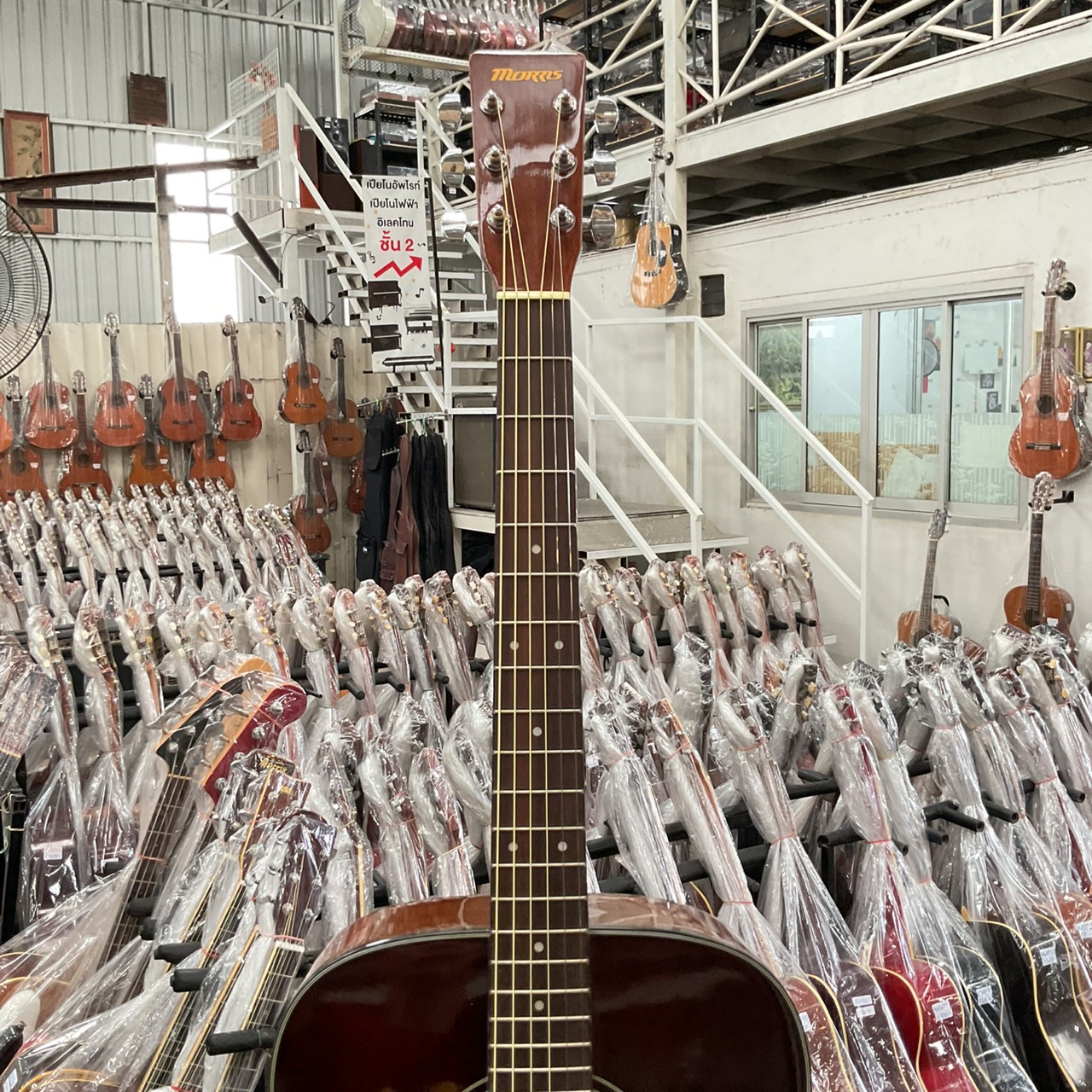 กีต้าร์โปร่ง MORRIS : MD-307LHTS (สำหรับมือซ้าย)