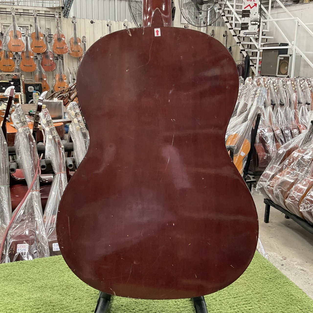 กีต้าร์คลาสสิค SUZUKI : C-10