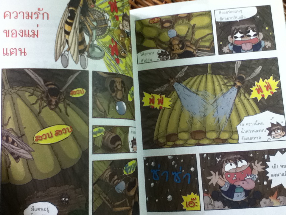 เอาชีวิตรอดในอาณาจักรแมลง เล่ม 1-3/ ฮอง แจซอย