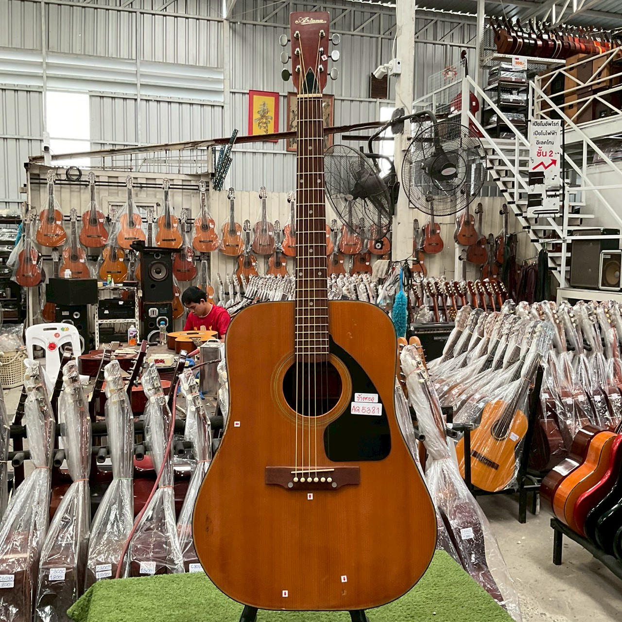 กีต้าร์โปร่ง Ariana : A790