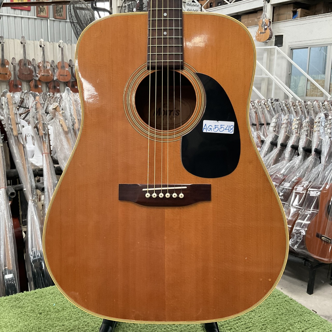 กีต้าร์โปร่ง Morris : W-18