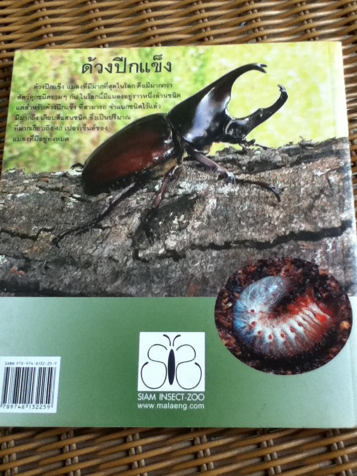 ด้วงปีกแข็ง แมลงลึกลับกับเทคนิคการเพาะเลี้ยง/ พิสุทธิ์ เอกอำนวย