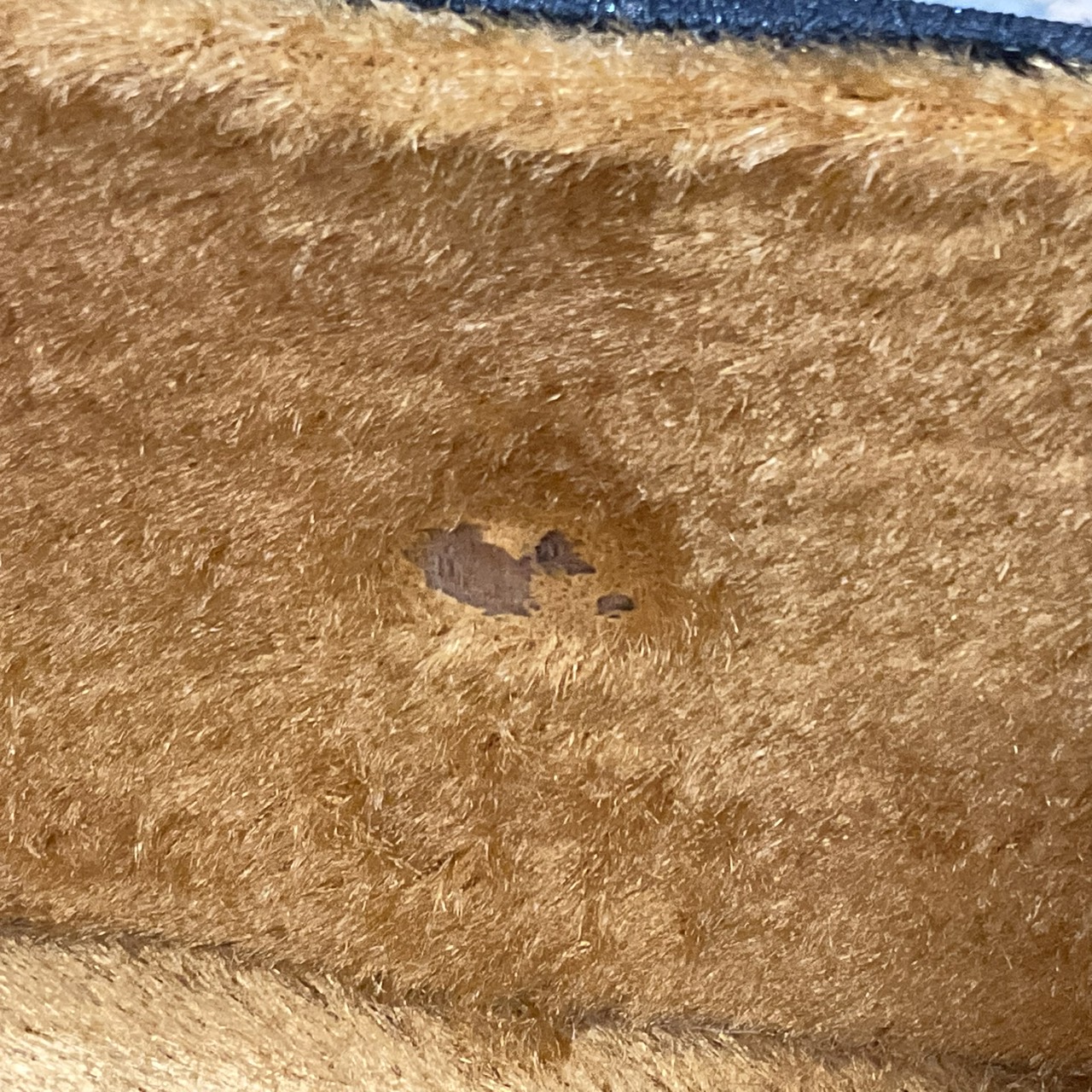 กล่องเคสกีต้าร์โปร่ง TAKASHI