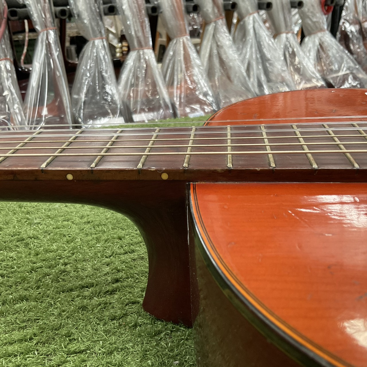 กีต้าร์คลาสสิค SUZUKI : C-10