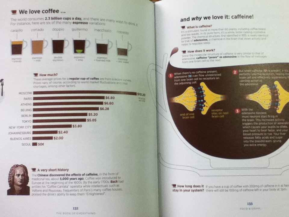 BOOK of EVERYTHING A Visual Guide to Travel and the World/ Nigel Holmes