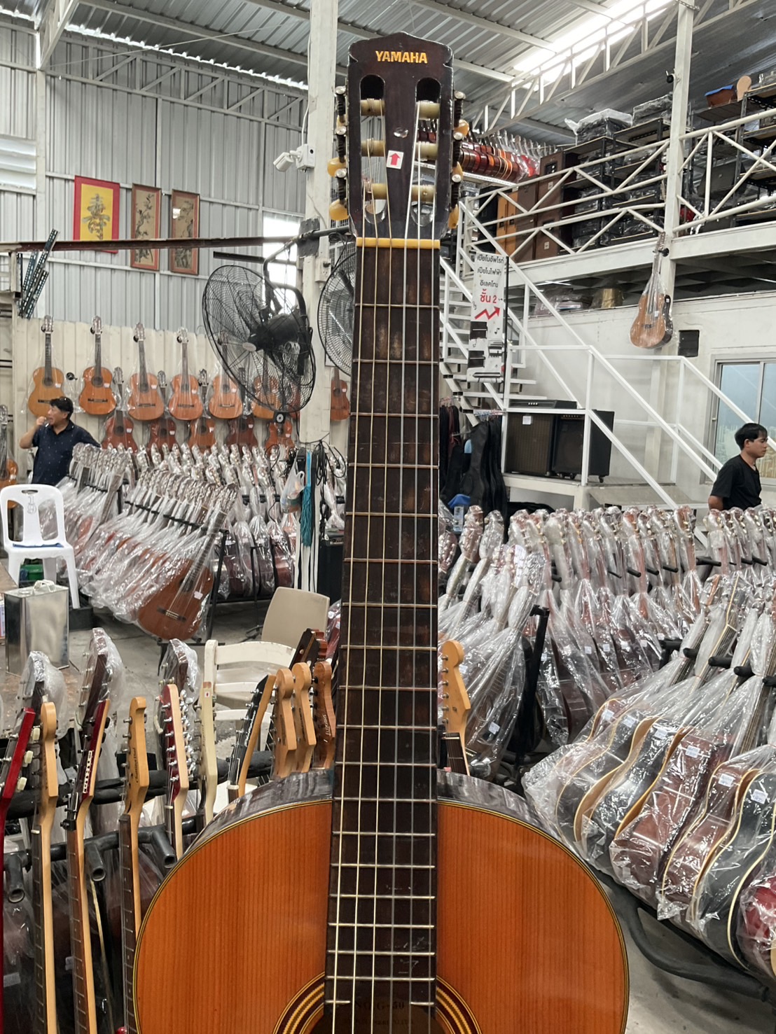 กีต้าร์คลาสสิค YAMAHA : G-50