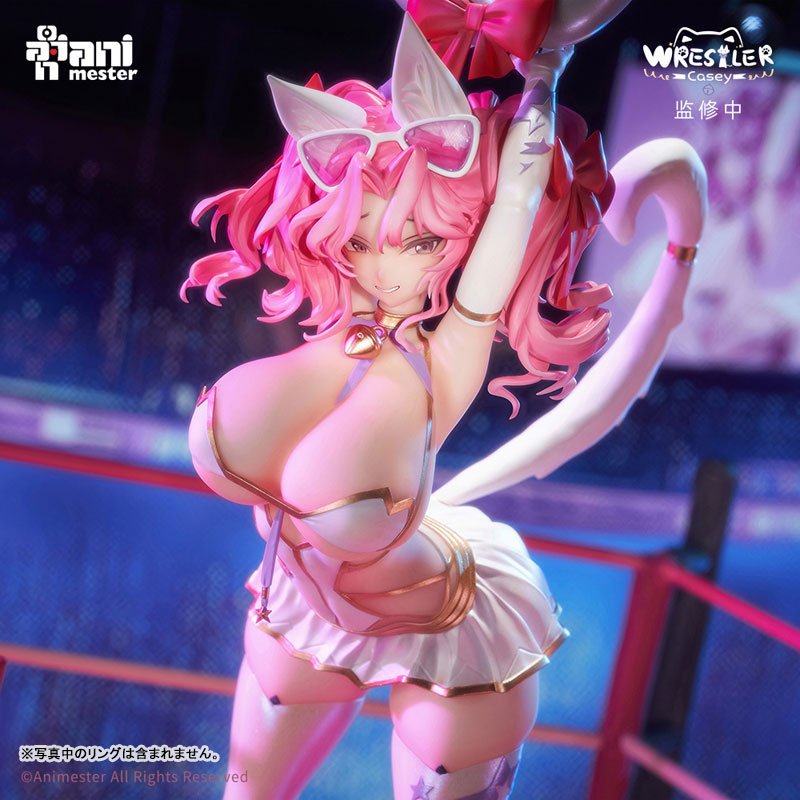 [Bonus] NyanNyan Girl Wrestler Casey 1/6 Complete Figure(Provisional Pre-order)
