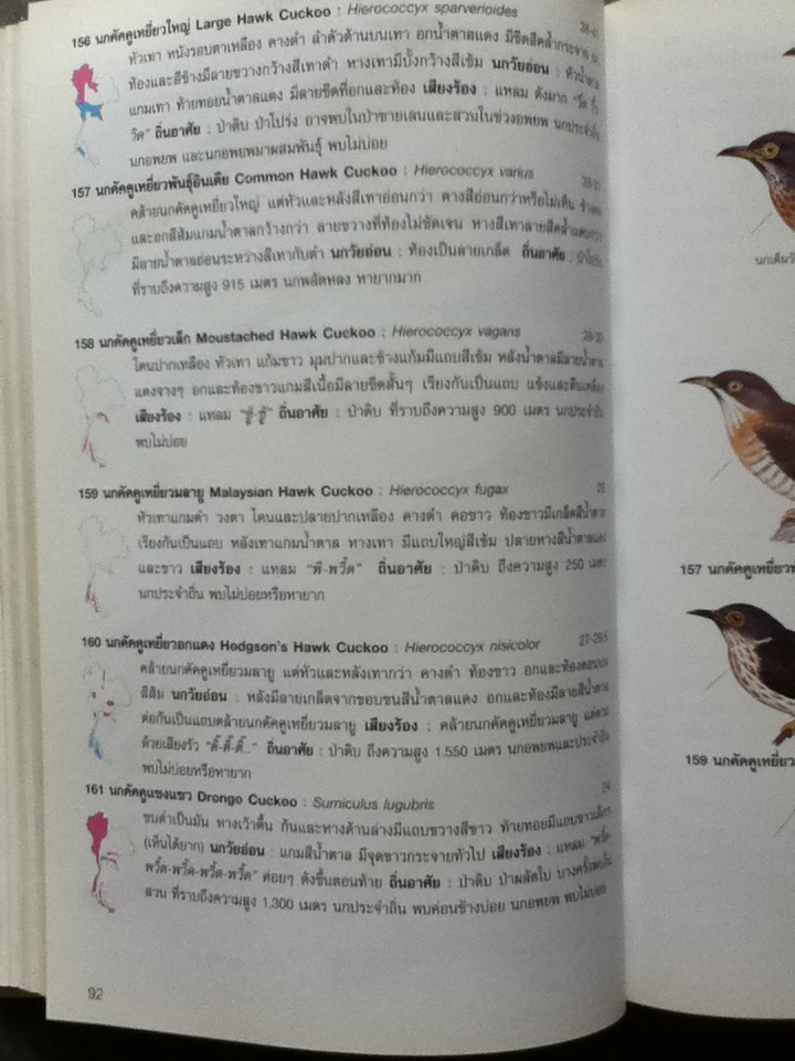 คู่มือดูนก หมอบุญส่ง เลขะกุล นกเมืองไทย