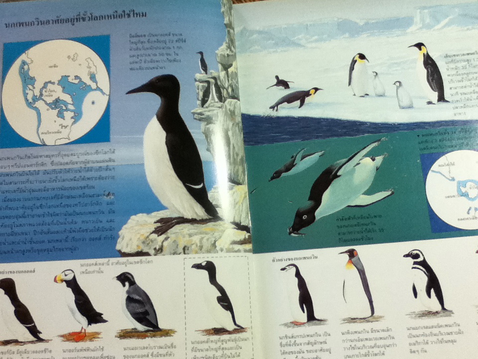 นิเวศวิทยาและสิ่งแวดล้อม หนังสือชุดขุมทรัพย์โลกวิทยาศาสตร์ (ปกแข็ง)/ ไทม์-ไลฟ์/ ผู้ช่วย ศจ.นันทนา คชเสนี ผู้แปล