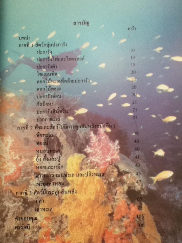 ปลาทะเลไทย เล่ม1 (พร้อมซีดีท่องทะเลชมปลา)/ ธรณ์ ธำรงนาวาสวัสดิ์ และคณะ แถม โครงการอุทยานใต้ทะเล จุฬาภรณ์36