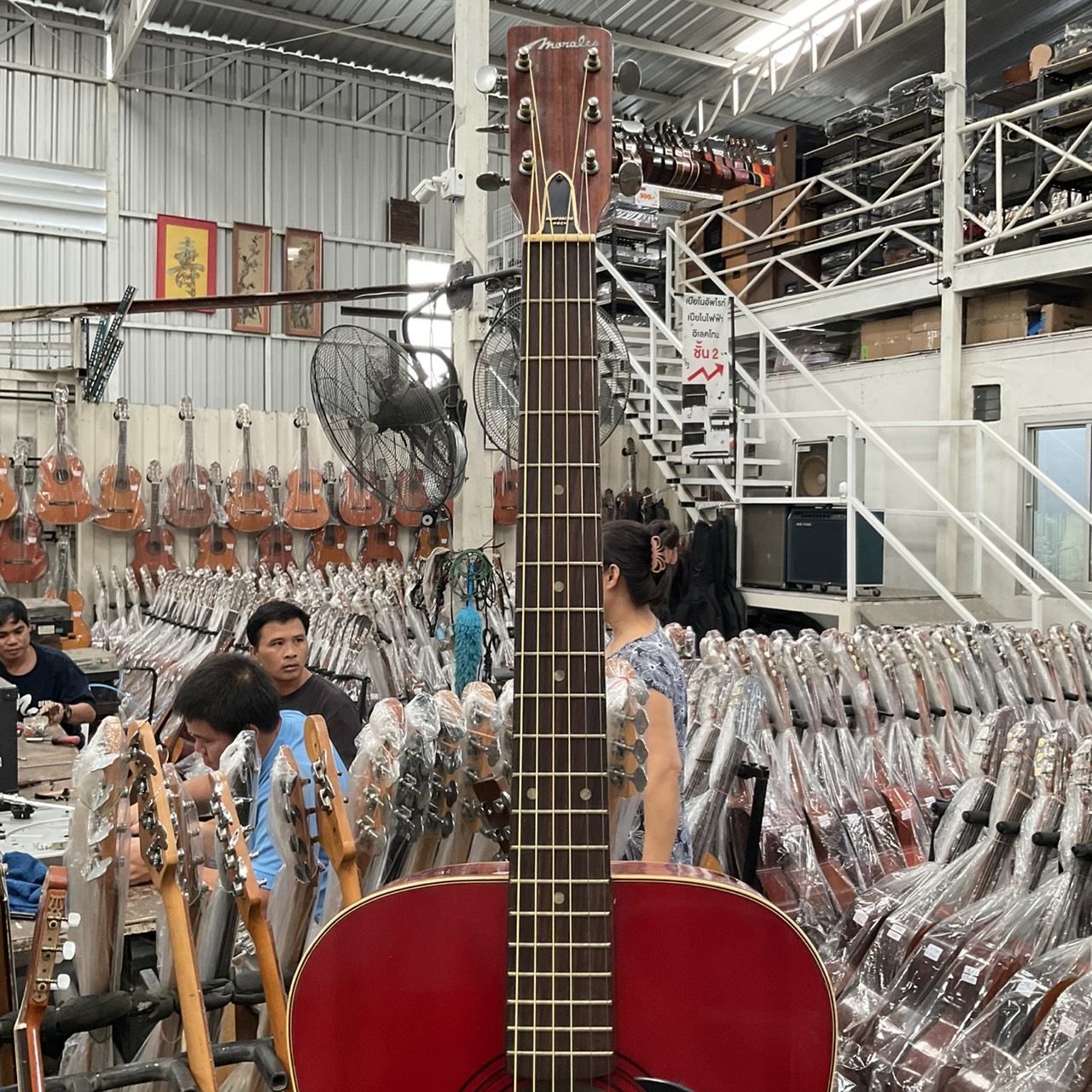 กีต้าร์โปร่ง Morales : MF150