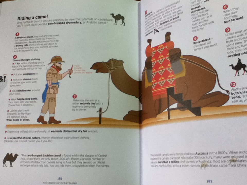 BOOK of EVERYTHING A Visual Guide to Travel and the World/ Nigel Holmes