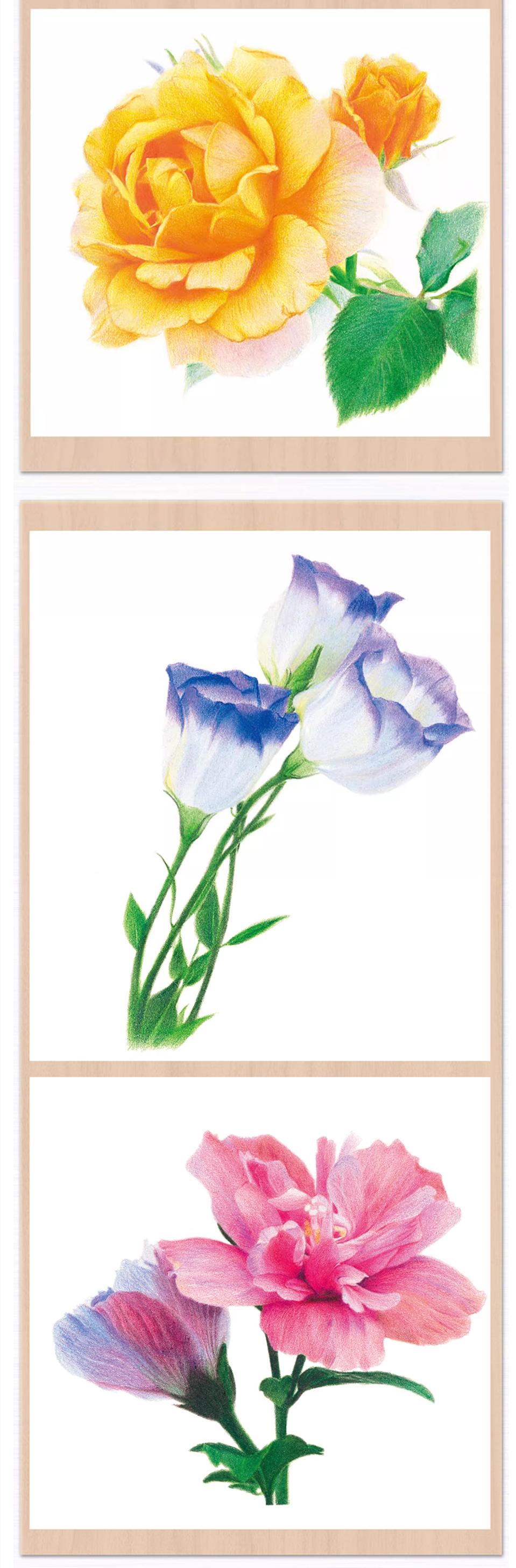 (Pre-order) หนังสือสอนระบายสีไม้ภาพดอกไม้