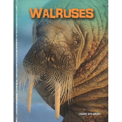 INFOSEARCH LIVING IN THE WILD: WALRUSES BY DKTODAY