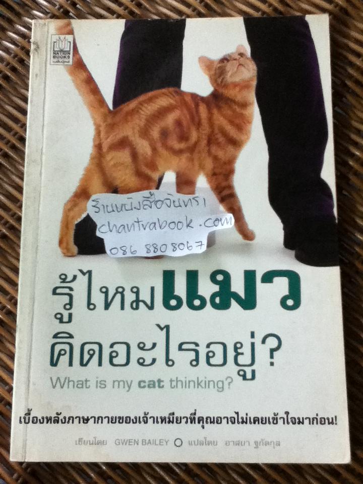 รู้ไหมแมวคิดอะไรอยู่?/ เกวน เบลีย์