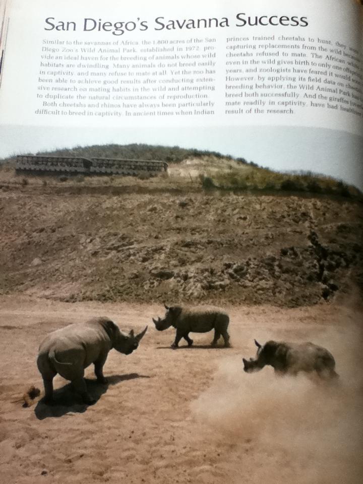 Life in Zoos & Preserves หนังสือชุดWild,Wild World of Animals