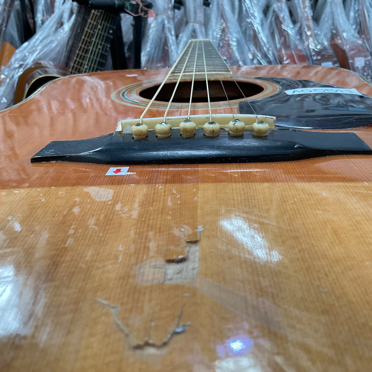 กีต้าร์โปร่ง MORRIS : SPECIAL