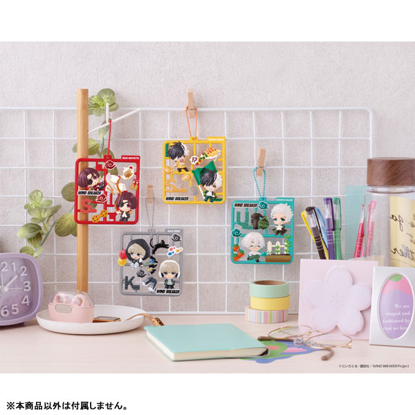 Plat Collection WIND BREAKER 4Pack BOX(Pre-order)