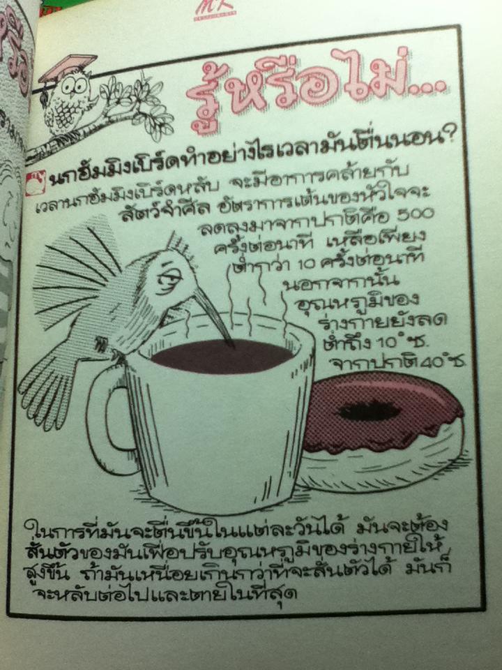 รู้หรือไม่ เจาะความลับข้างในและข้างนอกสิ่งมีชีวิต, แสงและสีหลังม่านตา และ อาหารและการกิน รวม3เล่ม / ลอรา ซูซูกิ, ปีเตอร์ คุก **แถมฟรีเมื่อซื้อครบ 1,200 บาท**