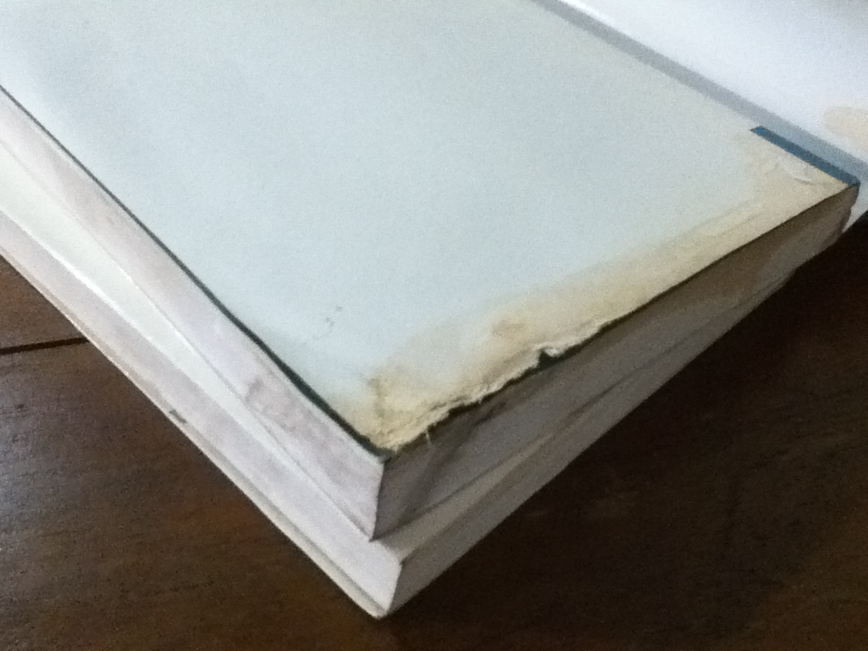 มายา 2 เล่มจบ (ปกอ่อนมีใบหุ้มปก)