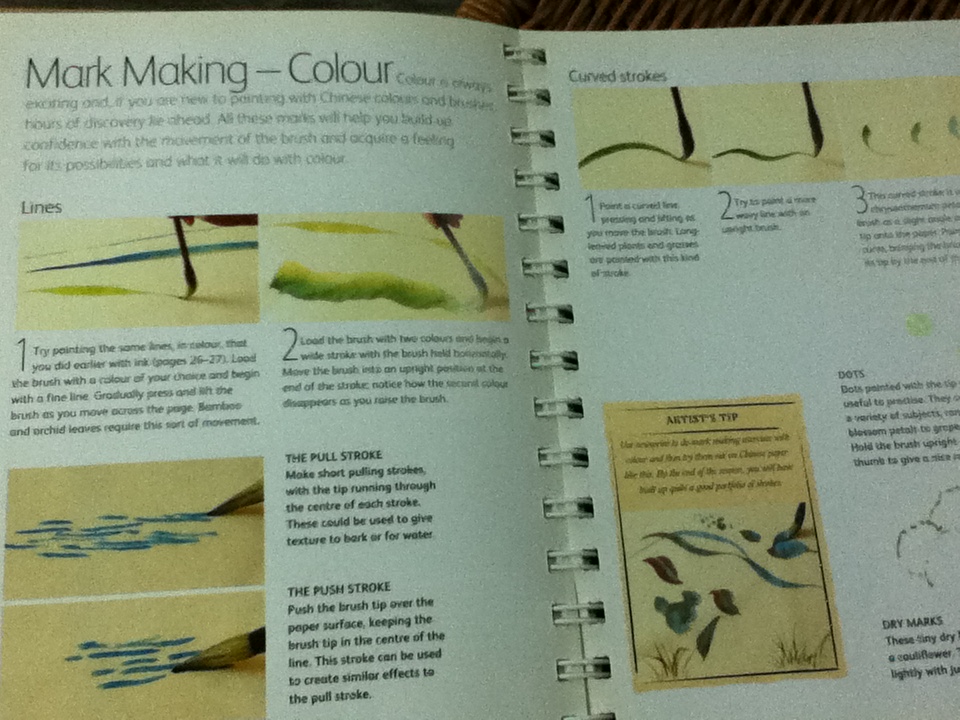 THE CHINESE BRUSH PAINTING BIBLE/ JANE DWIGHT