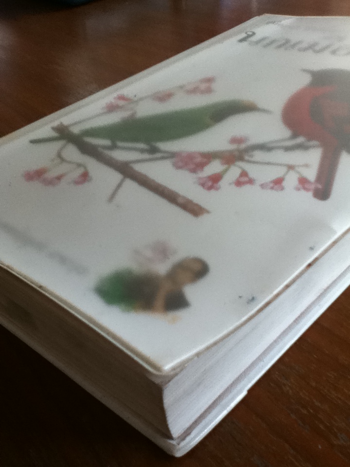 คู่มือดูนก หมอบุญส่ง เลขะกุล นกเมืองไทย