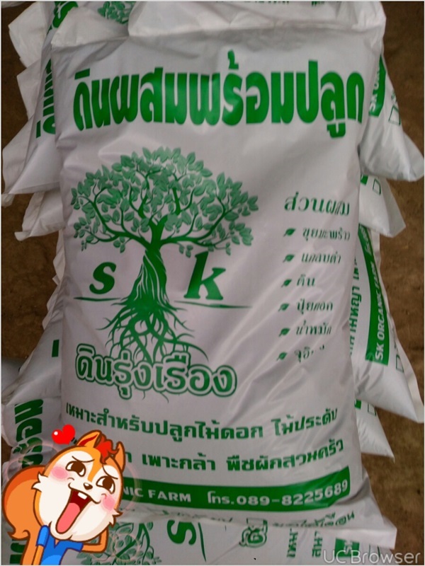 ขายดินปลูกต้นไม้อยุธยา