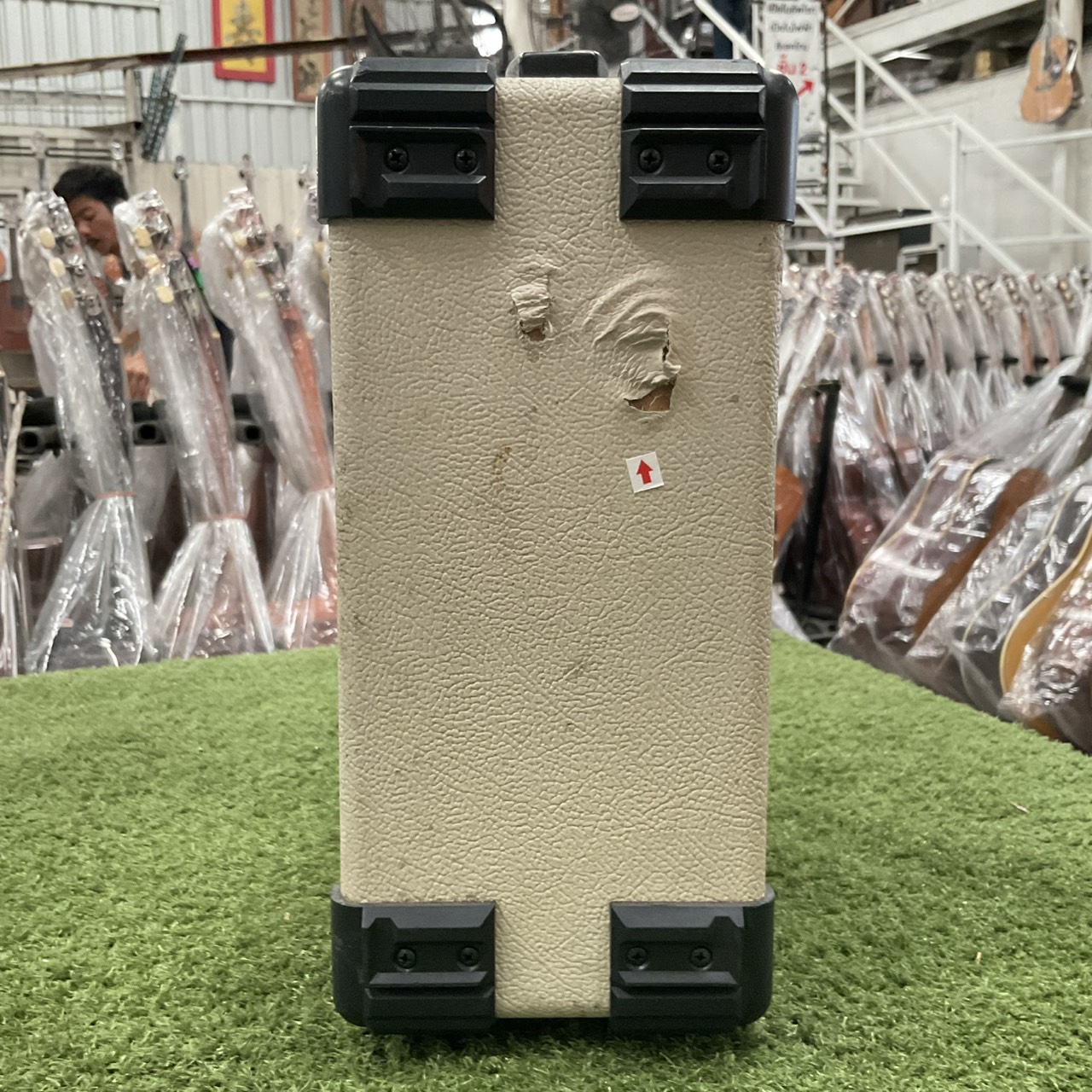 แอมป์กีต้าร์ SELVA : MIGHTY BOX / MB-10G