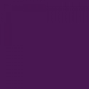 Color Purple : สีม่วงน้ำมัน