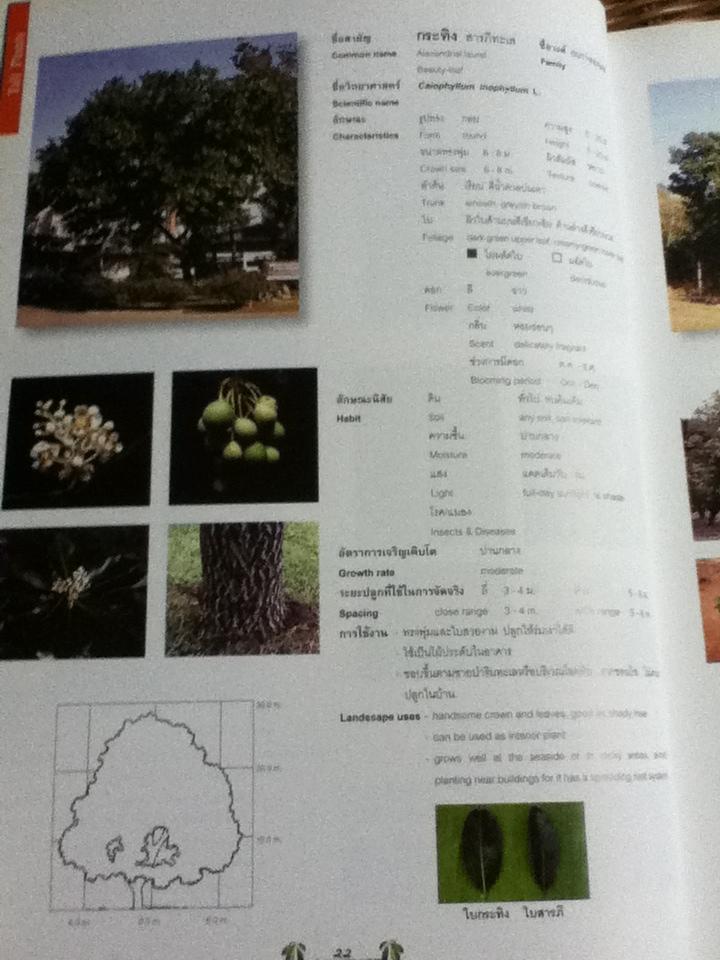 พรรณไม้ในงานภูมิสถาบัตยกรรม 1 (ไทย-อังกฤษ)/ เอื้อมพร วีสมหมาย และคณะ