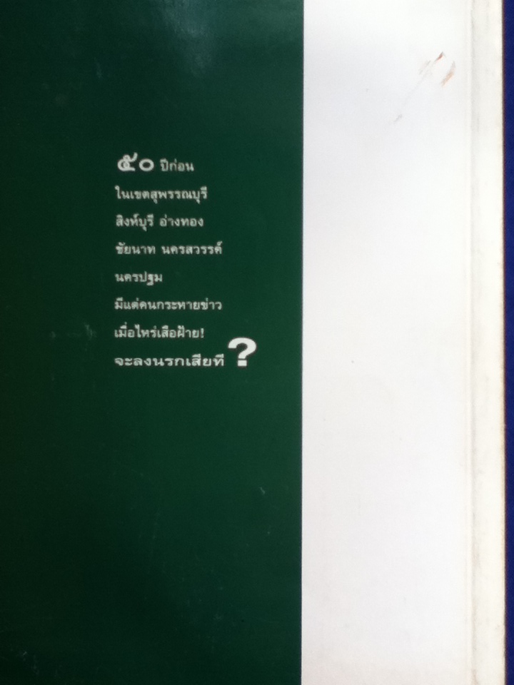 เสือฝ้าย