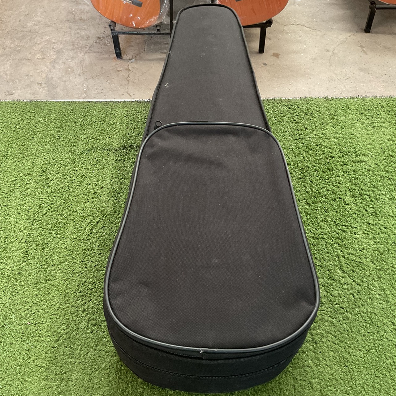 ไวโอลิน Hallstatt : V-10