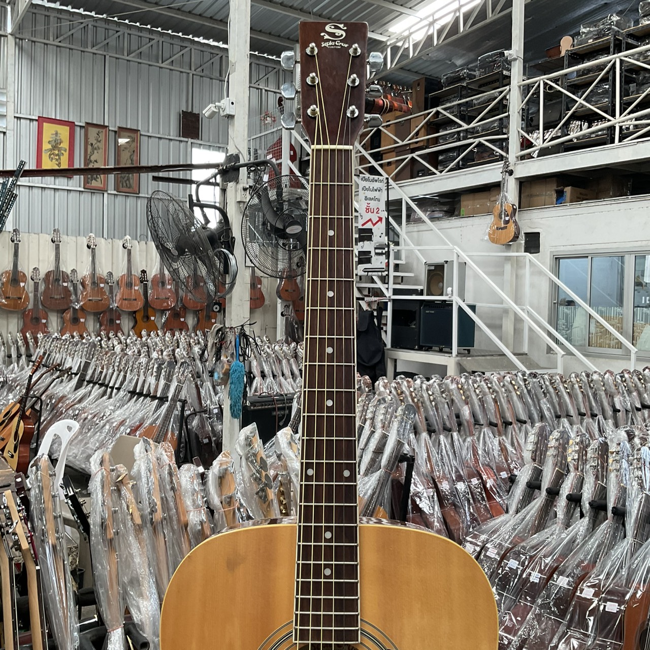 กีต้าร์โปร่ง Sepia Crue : W-250 N