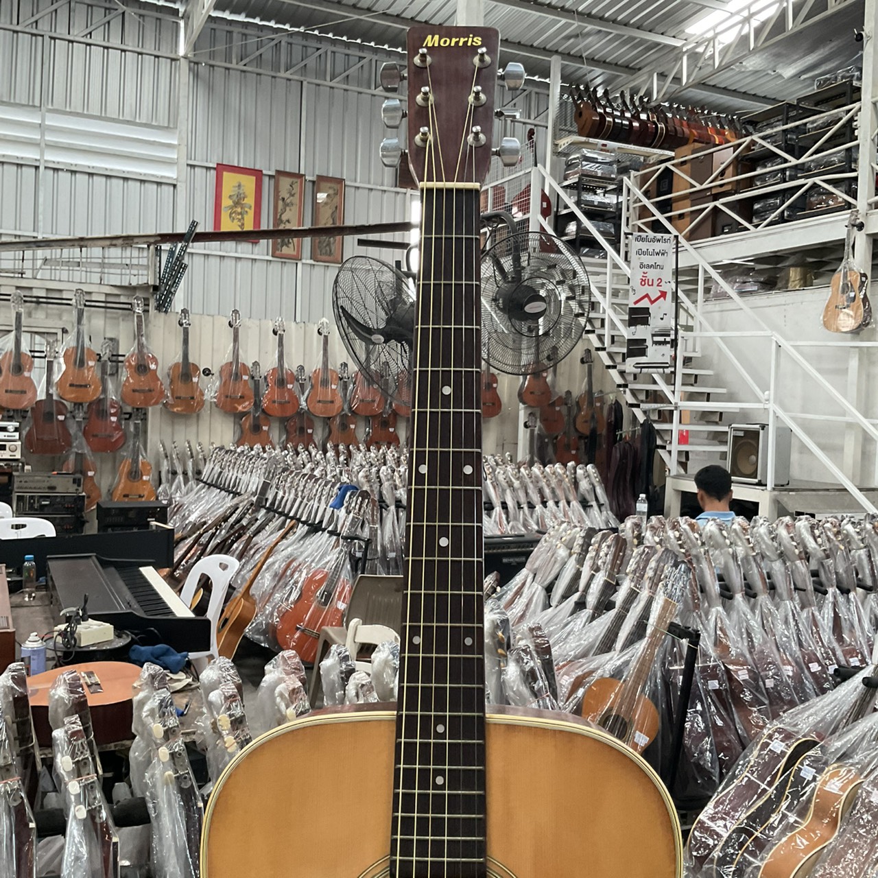 กีต้าร์โปร่ง Morris : W-18